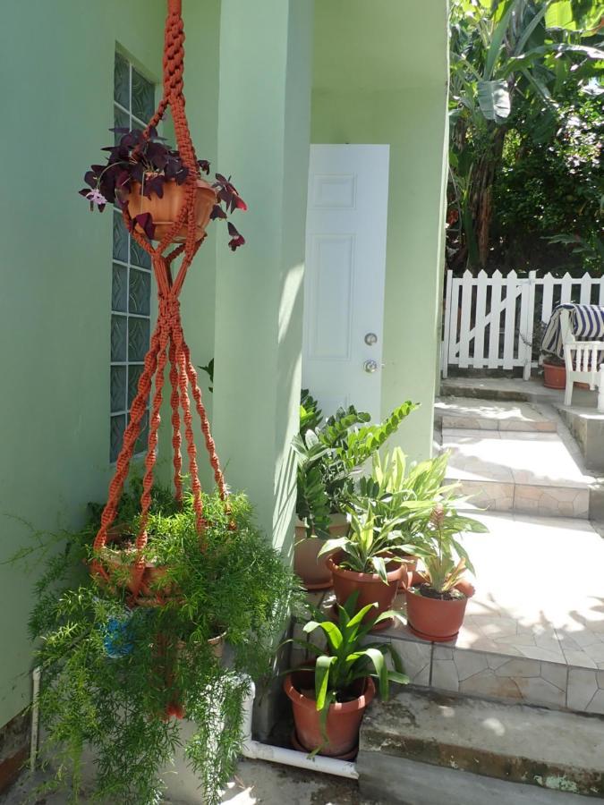 Urban Oasis Apartment Castries Exterior foto