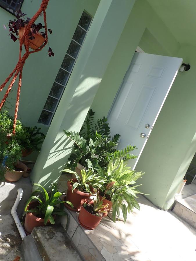 Urban Oasis Apartment Castries Exterior foto